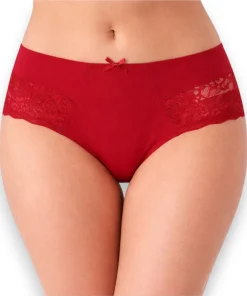 panty-bikini-microfibra-encaje-sensual-sexy-bras-jade-877